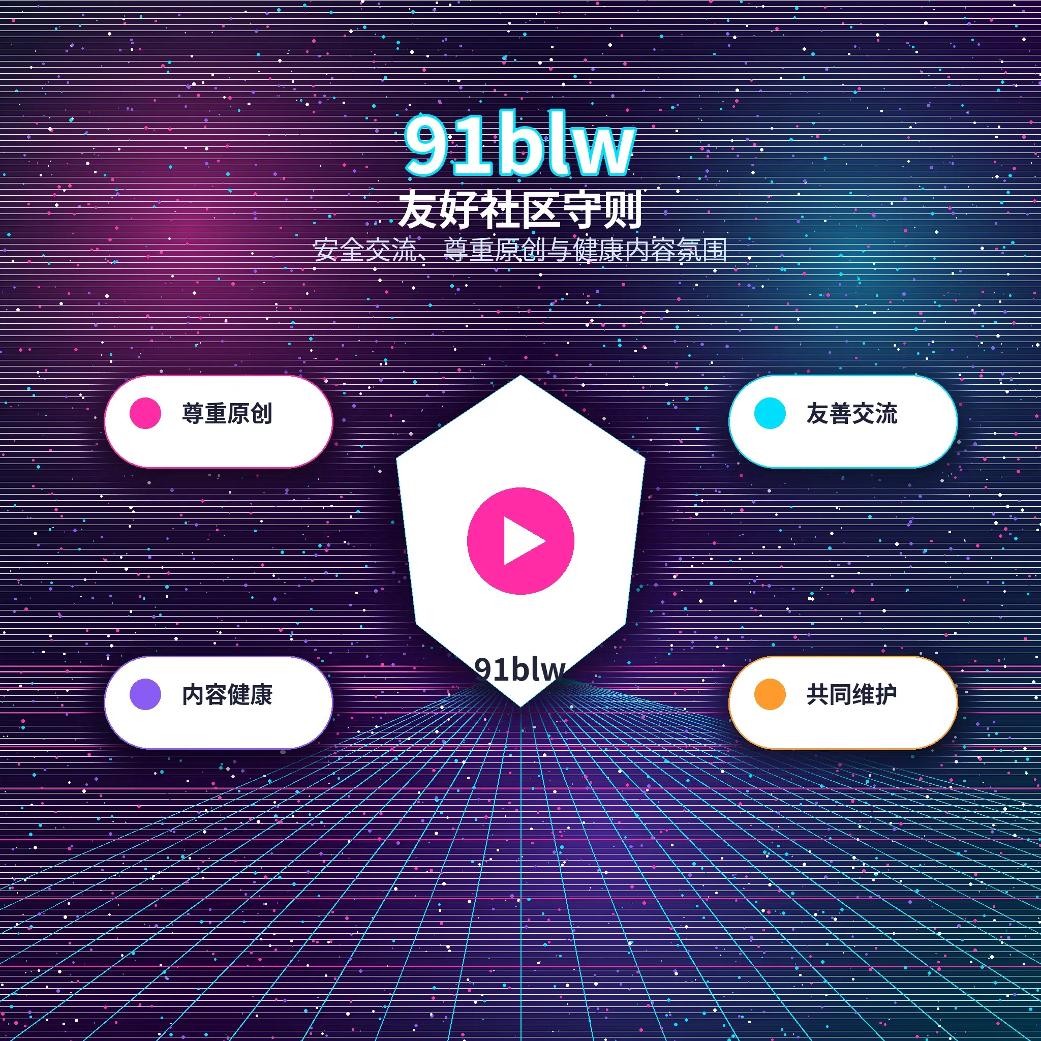 91网社区互动内容
